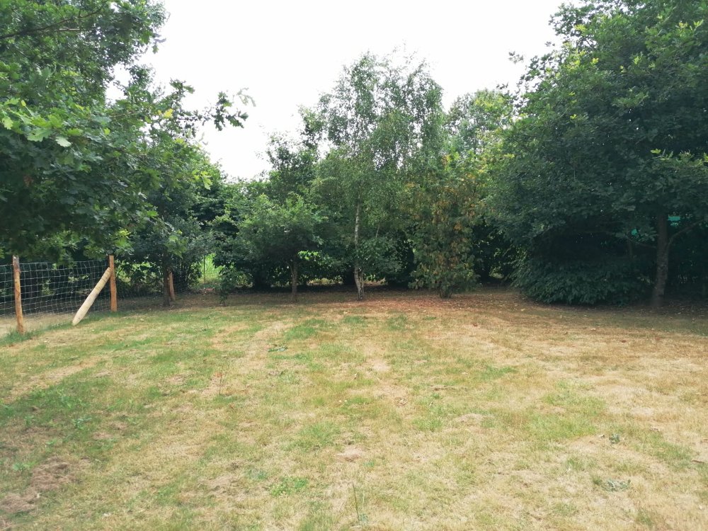 Aire camping-car  Saint-Andr-Goule-d'Oie (85250) - Photo 1